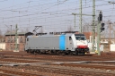 IMG_7563-09-03-25.jpg
