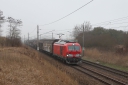 IMG_7748-11-03-25.jpg