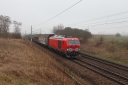 IMG_7750-11-03-25.jpg