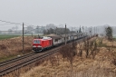 IMG_7797-11-03-25.jpg