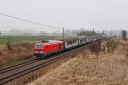 IMG_7800-11-03-25.jpg