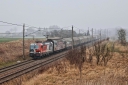 IMG_7758-11-03-25.jpg