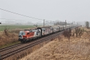IMG_7762-11-03-25.jpg
