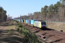 IMG_8323-20-03-2025.jpg