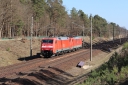IMG_8361-20-03-2025.jpg