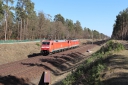 IMG_8363-20-03-2025.jpg