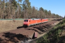 IMG_8365-20-03-2025.jpg