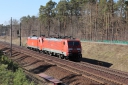 IMG_8370-20-03-2025.jpg