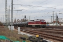 IMG_8448-23-03-2025.jpg