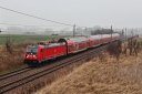 IMG_7766-11-03-25.jpg