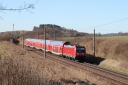 IMG_7822-18-03-25.jpg