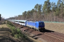 IMG_8378-20-03-2025.jpg
