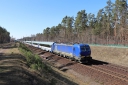 IMG_8379-20-03-2025.jpg