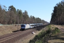 IMG_8201-20-03-2025.jpg