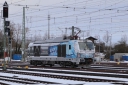 IMG_7500-12-01-25.jpg
