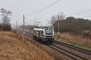IMG_7734-11-03-25.jpg