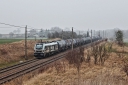 IMG_7786-11-03-25.jpg