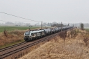IMG_7789-11-03-25.jpg