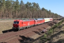 IMG_8297-20-03-2025.jpg