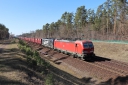 IMG_8339-20-03-2025.jpg