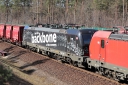 IMG_8342-20-03-2025.jpg