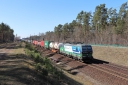 IMG_8354-20-03-2025.jpg