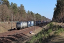 IMG_8385-20-03-2025.jpg